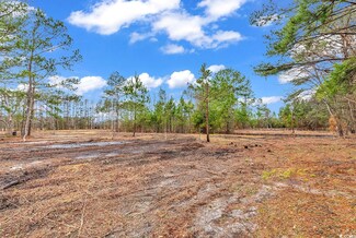 TBD 2.09ac Red Bluff Rd Unit 3930 Red Bluff Rd (p, Loris, SC 29569