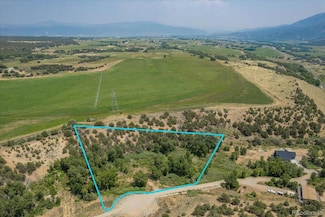 7918 Cozart Ln, Poncha Springs, CO 81201