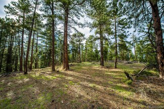 10250 Highway 73, Conifer, CO 80433
