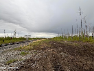 D001 No Rd, Willow, AK 99688
