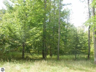0 M 115, Marion, MI 49665
