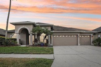 10015 Oxford Chapel Dr, Tampa, FL 33647