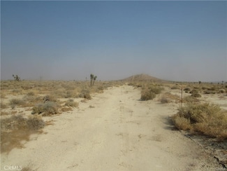 0 430-040-23-00-4 Ericka Ave Unit IG25034785, Mojave, CA 93501