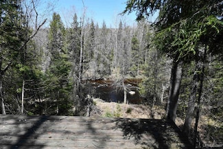 Lot #1 Northwoods Ln, Hardwood, MI 49834