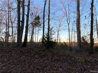 6 Harless Rd, Northport, AL 35475