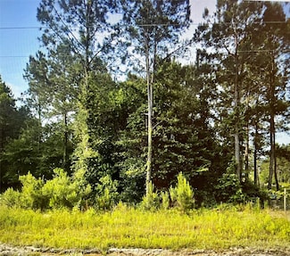 1643 Cr 5017, Cleveland, TX 77327