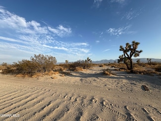 0 E Ave R8 Vic 145th Ste, Sun Village, CA 93543