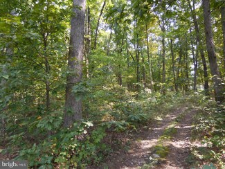 9 Reynolds Rd, Cross Junction, VA 22625