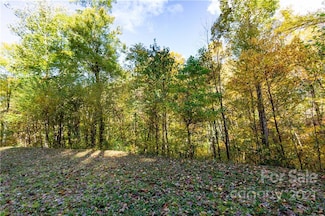 Lot 13 Black Rock Rd Unit 13, Cherokee, NC 28719