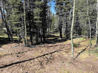 1451 El Camino Real, Angel Fire, NM 87710