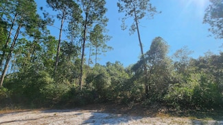 0 S Georgetown Point Rd, Georgetown, FL 32139