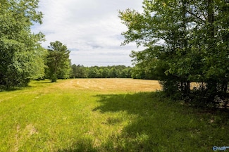 343 County Road 814, Flat Rock, AL 35966