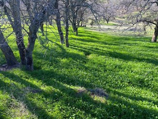 5588 Rippon Rd, Valley Springs, CA 95252