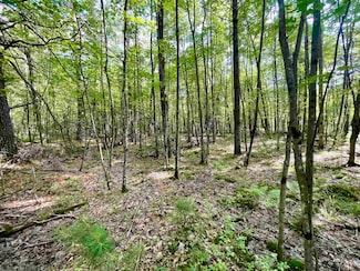 000 Cty Rd B Rd, Humbird, WI 54746