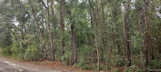 1221 E Rhapsody Ln, Hernando, FL 34442