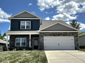202 Golden Rod Dr, Bluff City, TN 37618
