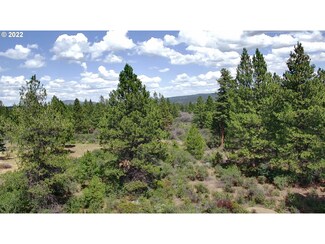 0 David St Unit 3 22477033, Chiloquin, OR 97624