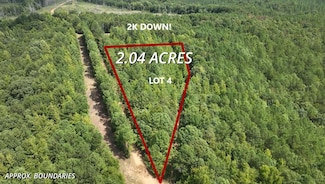 Taylor Springs Rd, Beaverton, AL 35544