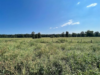 42.76 Acres Newman Rd, Scottsville, KY 42164