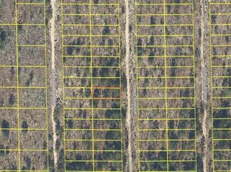 0 Iowa Ave Unit MFRO6277602, Hawthorne, FL 32640
