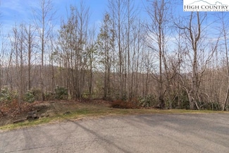 lot 39 Pine Cove Rd, Elk Park, NC 28622
