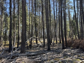 0 Cloudcap Dr Unit 3007705, Chiloquin, OR 97624