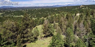 235 Hay Creek Rd, Florissant, CO 80816