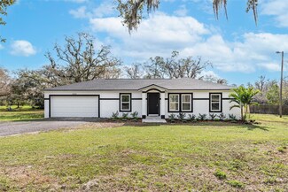 4423 Hill Dr, Valrico, FL 33596