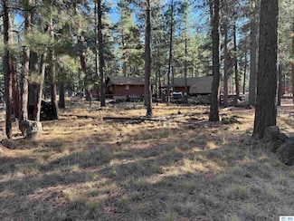 00 Magnolia Way, Susanville, CA 96130