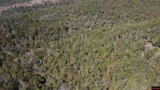 009-02955-001 Owens Dr, Salesville, AR 72653