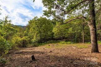 0000 Sandy Flat Mountain Rd, Fletcher, NC 28732