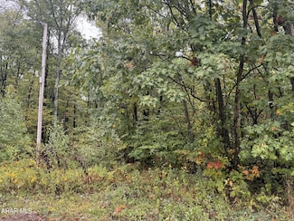 000 Williams Ave, Heilwood, PA 15714