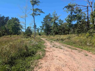 30 Acres on Peterson Hill Rd, Russell, WI 54814