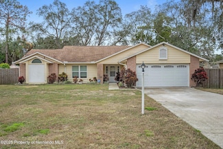 6296 Alderwood St, Spring Hill, FL 34606