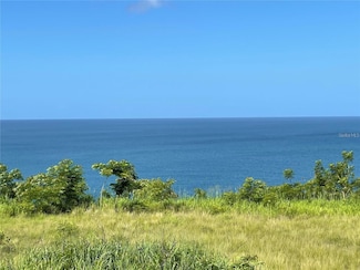 0 Road 429, Rincon, PR 00677