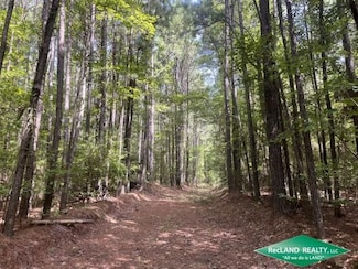 0 Louisiana 2 Alternate, Summerfield, LA 71079