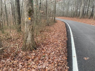 1.4 acre Hillis Cemetery Rd, Spencer, TN 38585