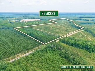 0 Tract 2 - Powell School Rd N Unit 1647284, Lumber, GA 31549