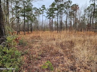 8055 U S 17, Vanceboro, NC 28586