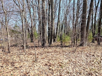 Lots 55-56 E Houghton Lake Dr, Houghton Lake, MI 48629
