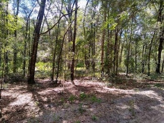 TBD SW 79th Place, Archer, FL 32618