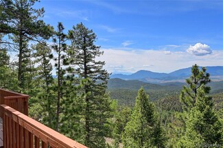 31228 Kings Valley W, Conifer, CO 80433
