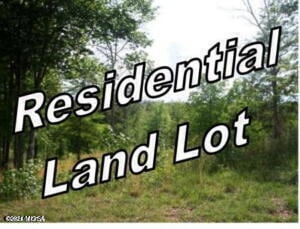 294 Oakridge Dr, Forsyth, GA 31029