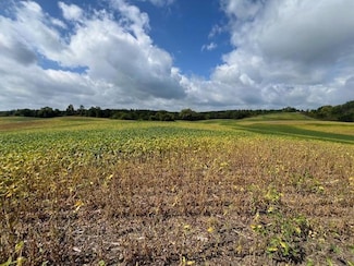 TBD Placid Dr, Dent, MN 56528