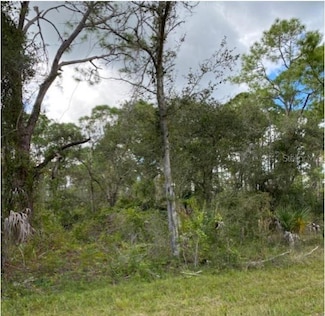 487 Halloran St, Port Charlotte, FL 33953