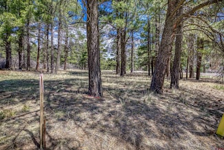 824 Antelope, Pagosa Springs, CO 81147