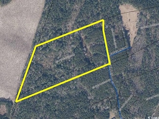 TBD W Thatchpalm Ct, Georgetown, SC 29440