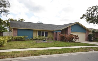 43 Turnstone Dr, Safety Harbor, FL 34695