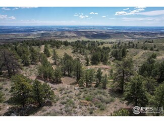0 Gold Mine Rd Unit 1009881, Loveland, CO 80538