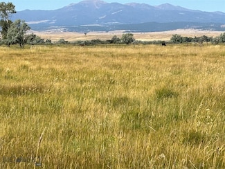 130 Parrot Castle Rd, Whitehall, MT 59759